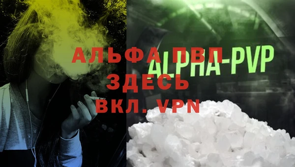 молекула духа Алексин