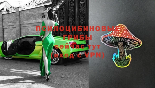 spice Алексеевка