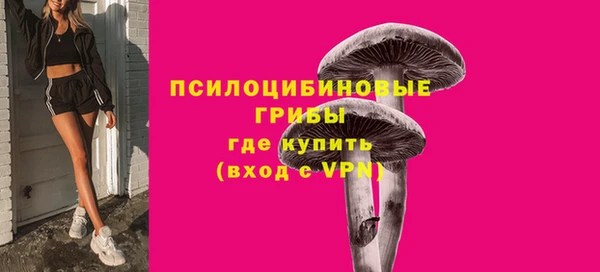молекула духа Алексин