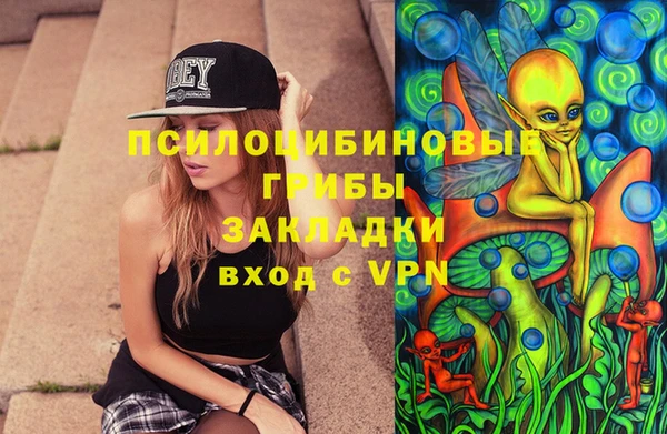spice Алексеевка