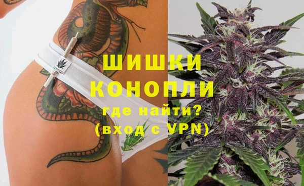 молекула духа Алексин