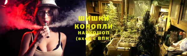 spice Алексеевка