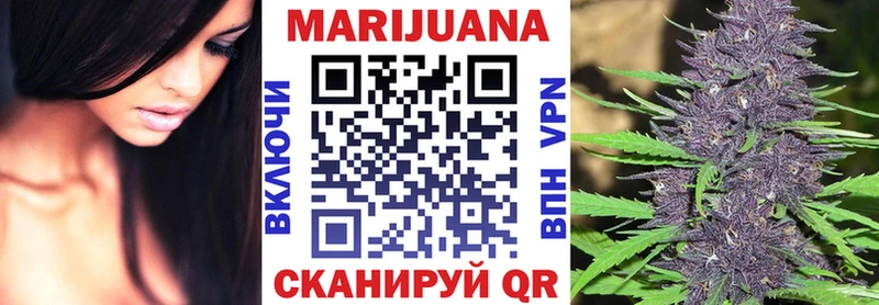 Конопля индика  Иннополис 